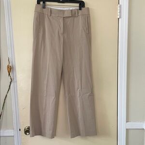 Ann Taylor Neutral Cream Dress Pants
